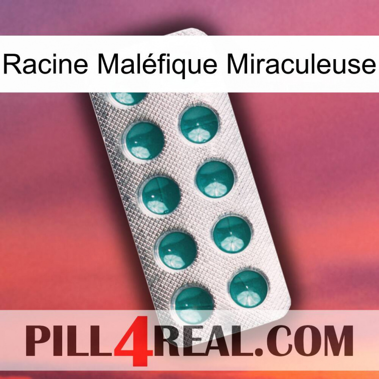 Racine Maléfique Miraculeuse dapoxetine1